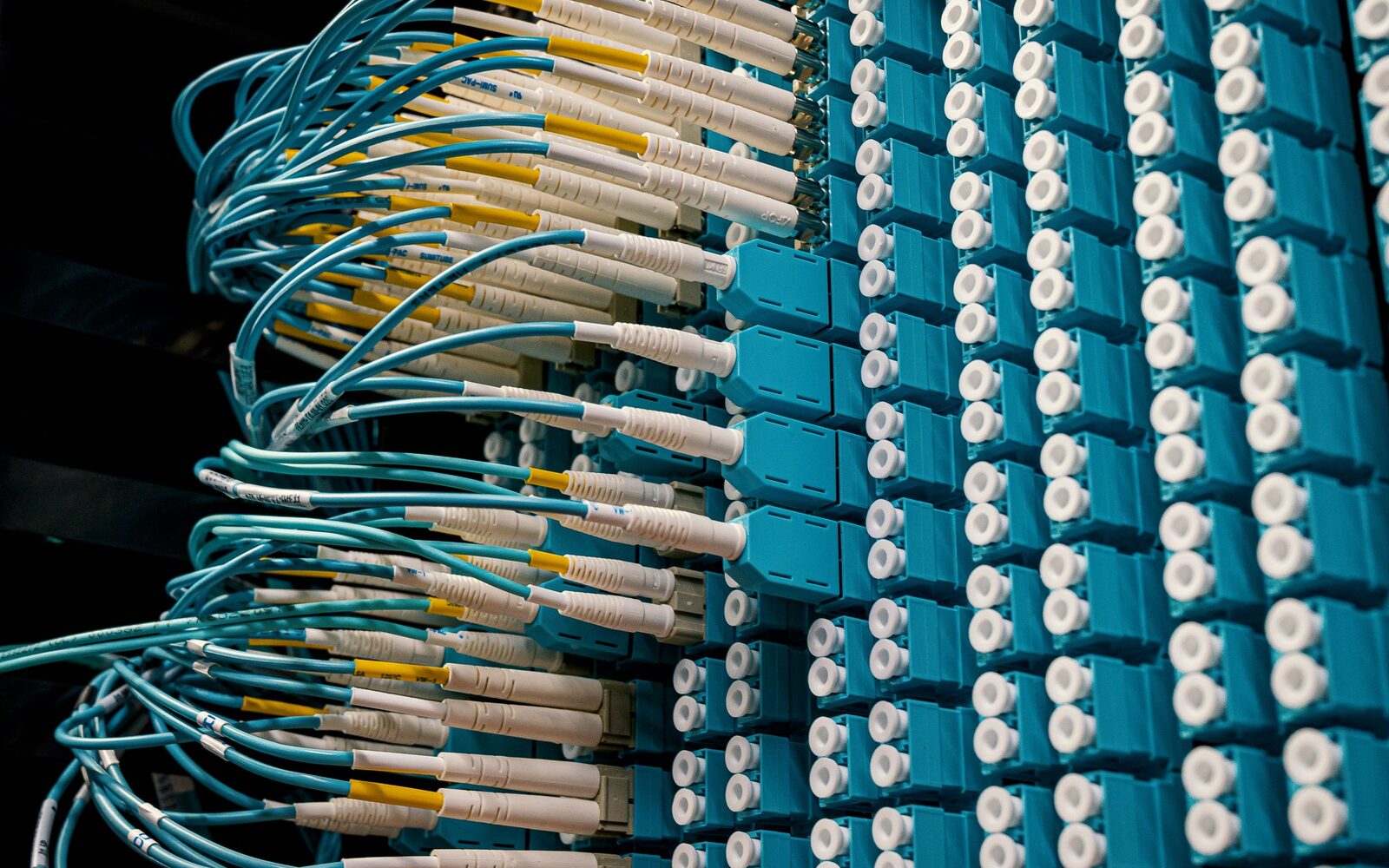 A patch panel densely populated with network cables